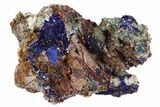 Vibrant Azurite & Malachite Crystal Cluster - Morocco #98755-1